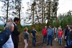 Dramatische Situation – Fichten sterben in  den Wäldern