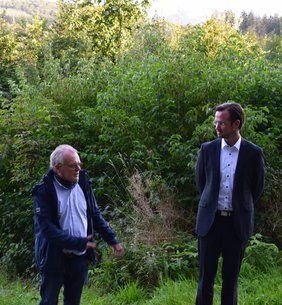 Dramatische Situation – Fichten sterben in  den Wäldern